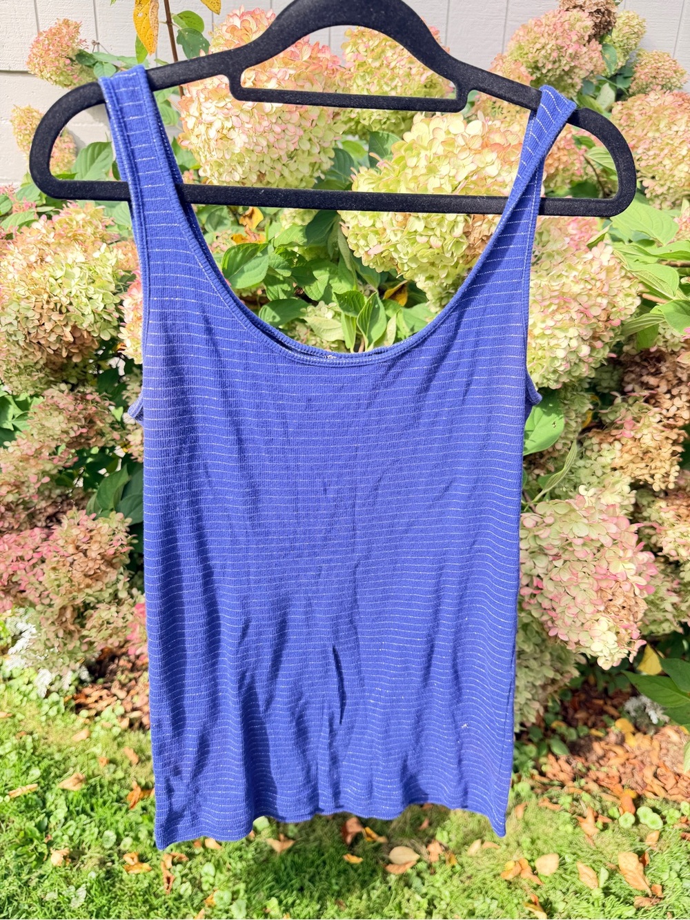 Ann Taylor Blue Scoop Neck Tank Top with Subtle Stripe
